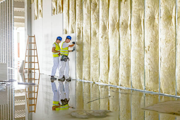 Attic Insulation Near Me in Farmers Loop, AK